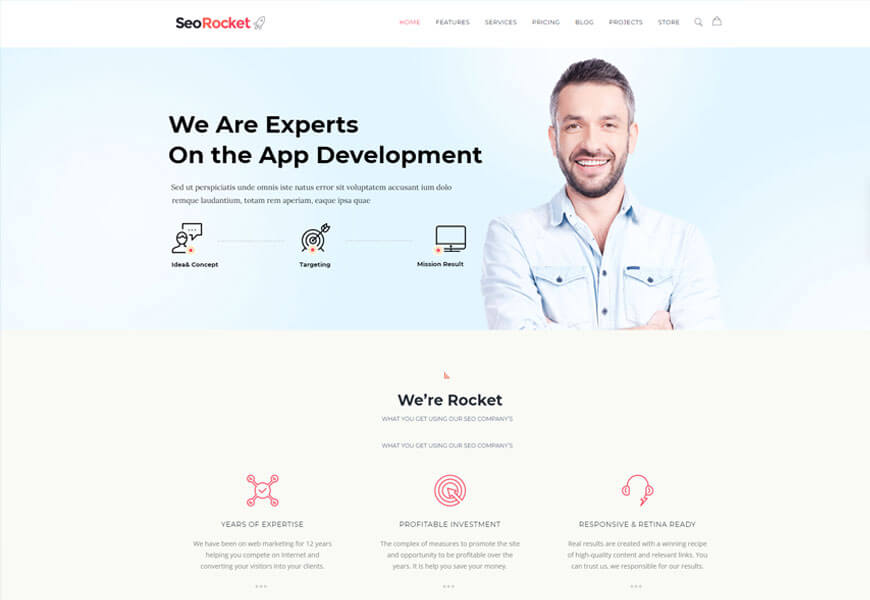 best seo friendly wordpress theme