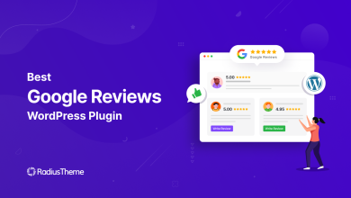 Google Reviews WordPress Plugin